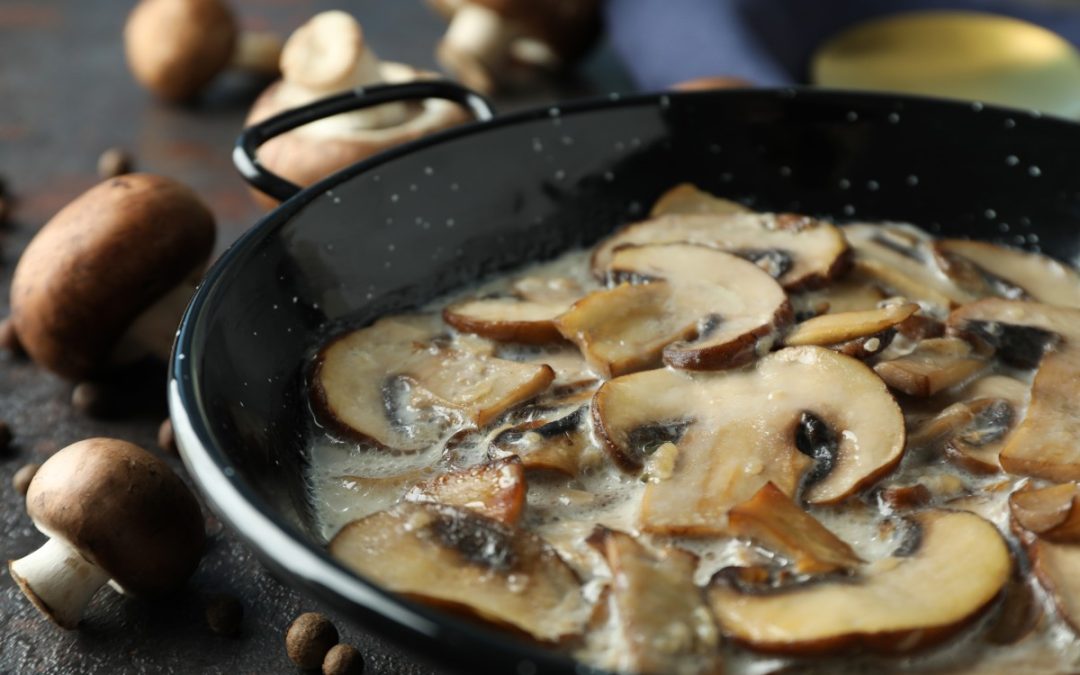 SOUS LE SIGNE DU CHAMPIGNON