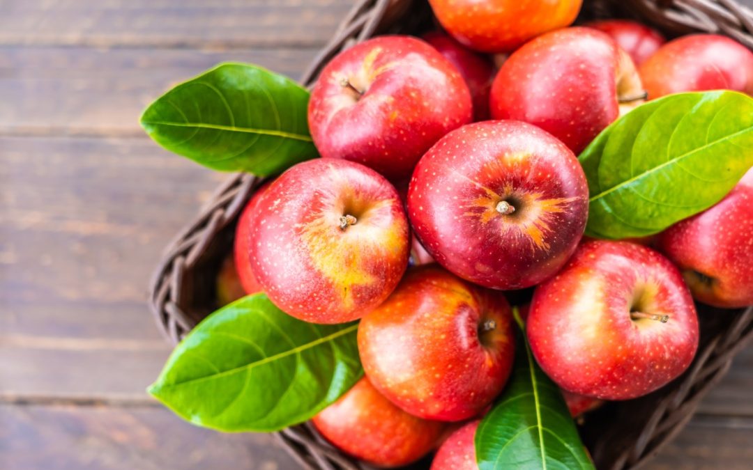 FÊTE DES POMMES CHEZ LES TISTOUS